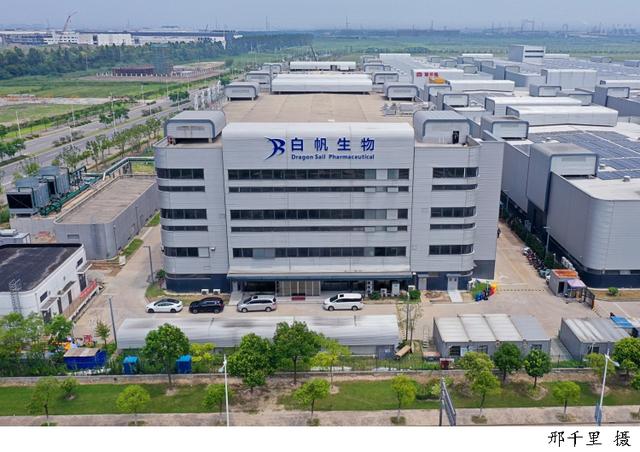 生物|未来的创新药看这里！15个生物医药项目签约临港新片区，总投资超150亿元