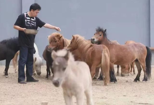 “前浪”于谦的潇洒半生:娶21岁娇妻,北京养4万平跑马场|影视交流地