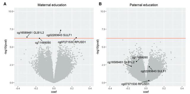你的育儿经@贫穷到底是为什么？PubMed的7分多文章告诉你，因为表观遗传学...