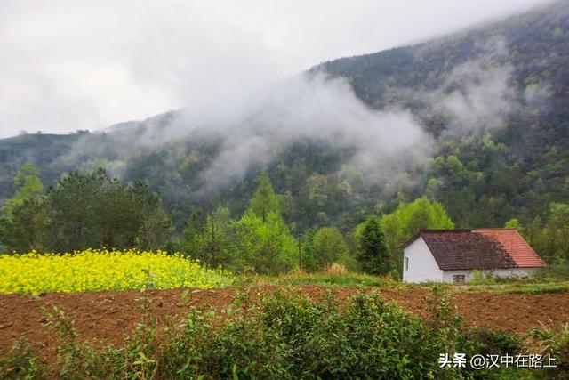#趣旅游#周末山中行,汉中春雨中的风光依旧很美!