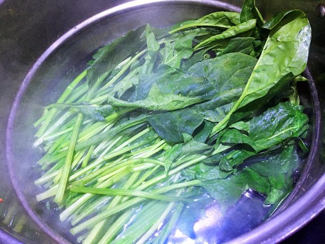 大鱼大肉吃得太腻，来盘凉拌菠菜，营养好吃还解腻