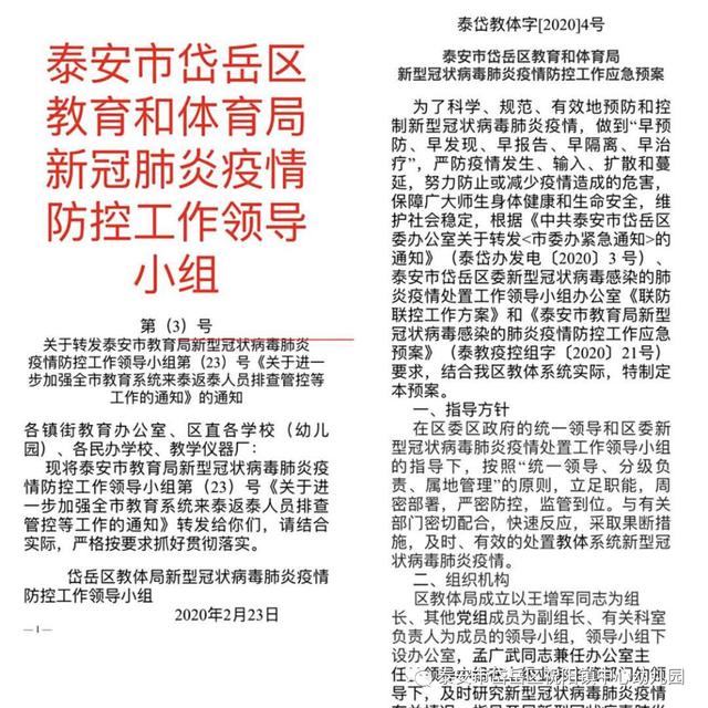超级宝妈▲「战“疫”」祝阳镇中心幼儿园开展疫情防控工作网络视频会议