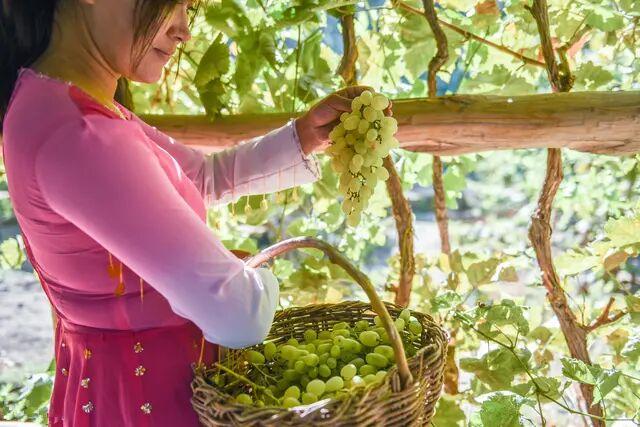 【逆旅行人】新疆真是个“独特”的地方，光是看当地的特产和美食，人家就赢了