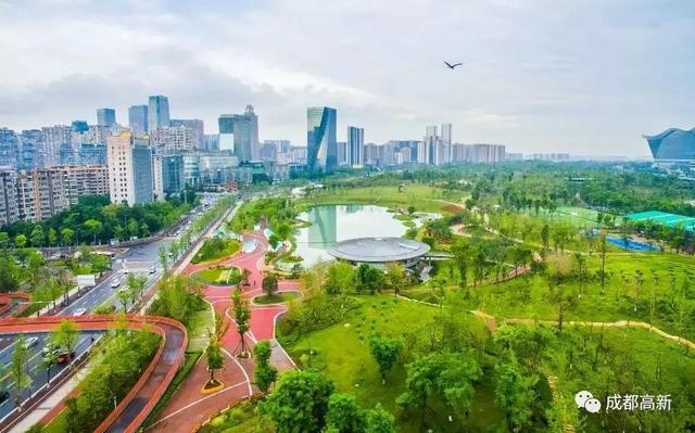 玩乐足迹■樱花大道、空中花廊、口袋公园……剑南大道今年即将“大变样”!
