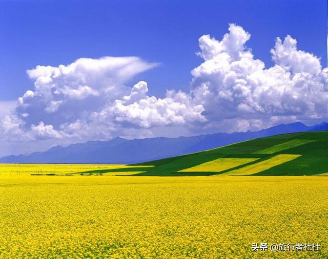 「约吗旅行」百万亩油菜花盛开，处处诗情画意，致最美的汉中油菜花