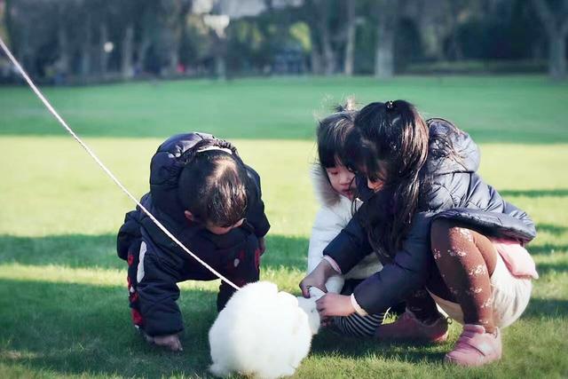 天使宝贝|“妈妈，我们家有钱吗”，三种妈妈的不同回答，可能影响孩子一生
