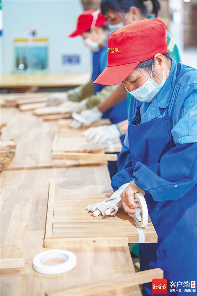 东馆|海垦宝橡林产集团采取超常规举措，以党建引领推进项目建设