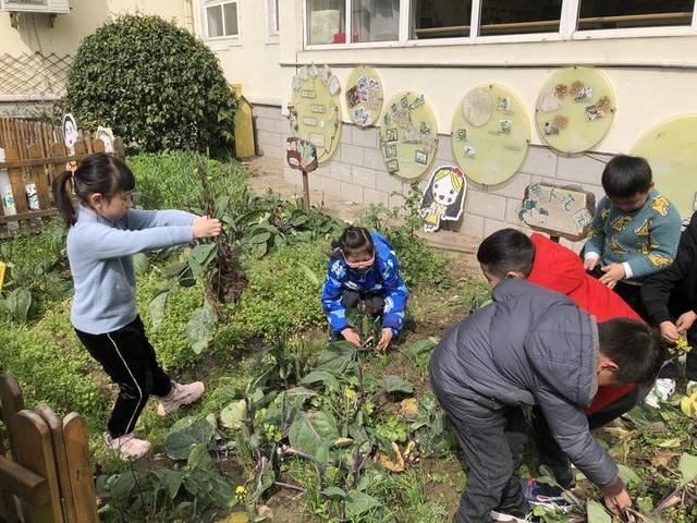 如何拥抱春天？这群幼儿园的娃娃学会了播种绿色