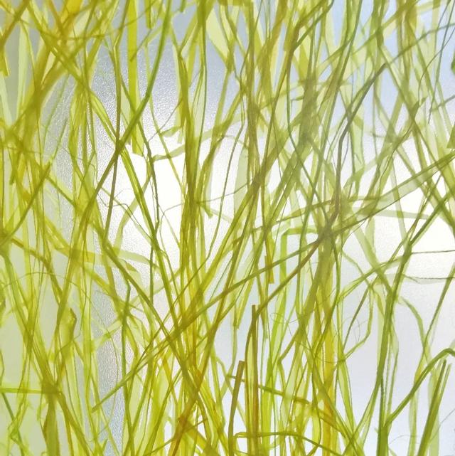 材料|时尚家居丨一起做光的探索者、追寻者、革新者丨光之合伙人（下）