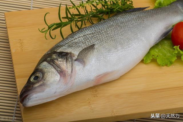 什么鱼刺少好吃，为什么鱼会那么多刺，什么鱼的刺少