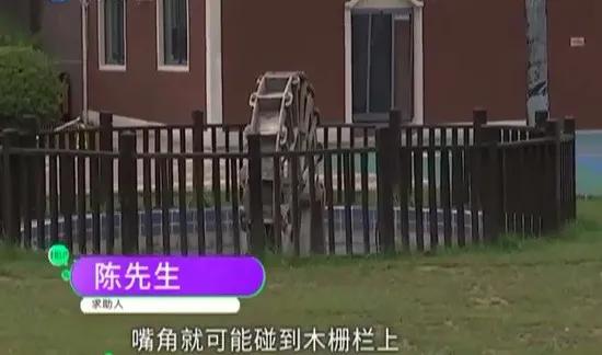 幸福之家|孩子放学摔倒受伤幼儿园赔偿医疗费 家长：再赔我2万