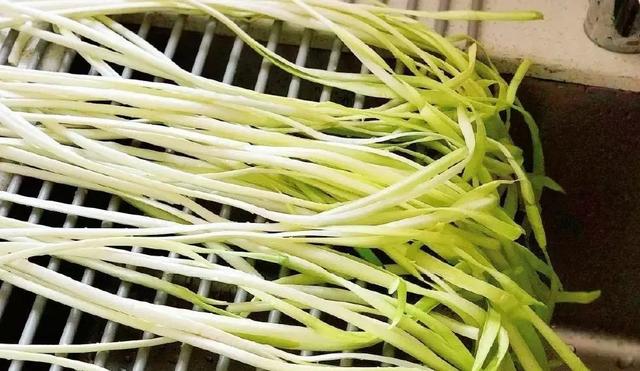 韭菜|春菜第一鲜少不了它！搭配这几物，营养更健康
