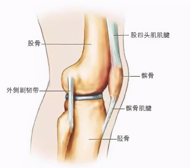 膝盖疼痛原因多，针对性康复治疗最有效