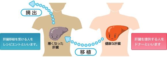 肝脏|科普丨惨遭换肝，仅因服用此药物1周