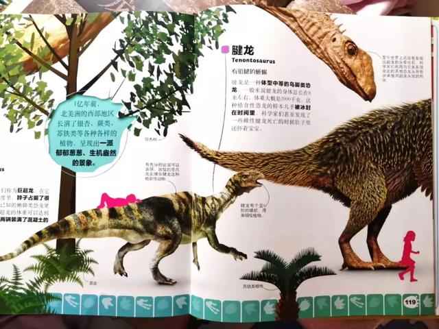 「超级宝妈」我们一直强调的“兴趣引导阅读”，这位妈妈交出了完美答案