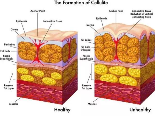 27岁越南女孩成为华为全球代言人，女生的好身材需要力量训练