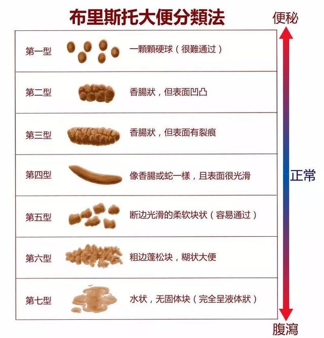 排便|早上大便和晚上大便有区别吗？其实这点更重要，可能和你想的不一样