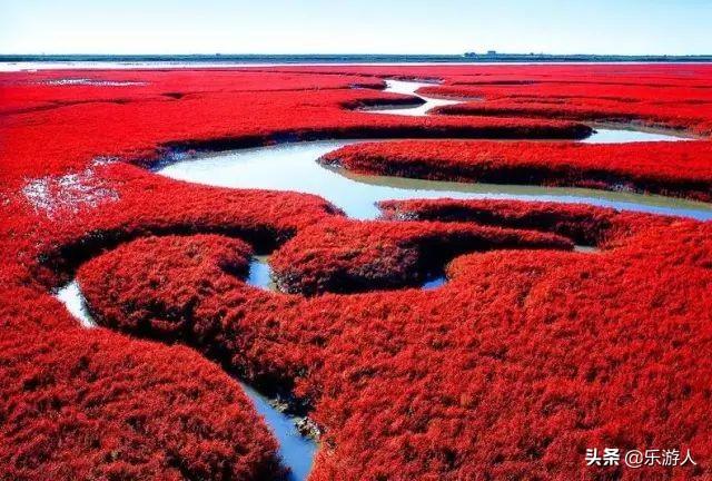#行路万里#辽宁竟私藏了一片颜值超高的红海滩