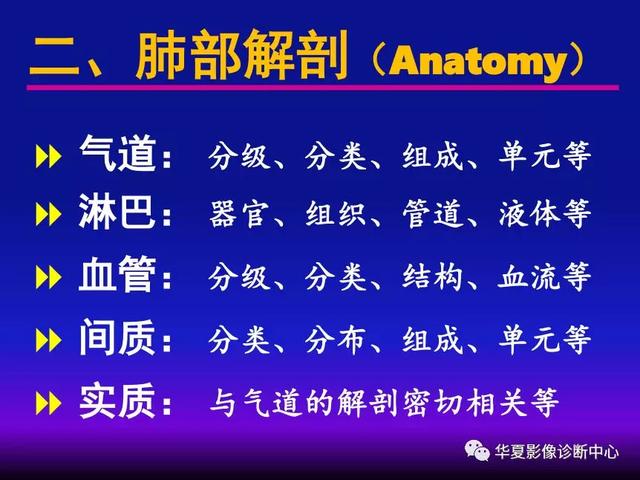 肺间质性疾病的解剖、病理、影像分析