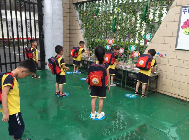 金牌大叔|鼎湖小“神兽”返园啦！镜头记录了这群小可爱