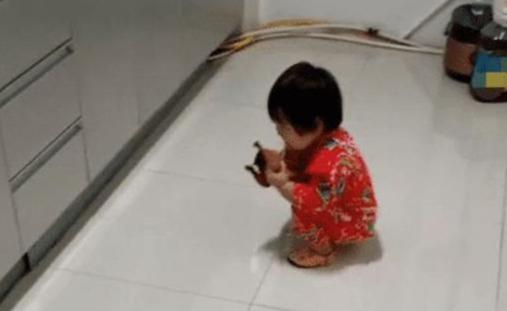 「你的育儿经」宝妈半夜找孩子，谁知孩子竟然在厨房偷吃，网友：孩子真可爱