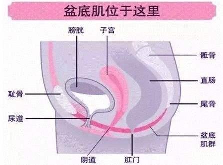 #你的育儿经#顺产后打喷嚏大笑漏尿后，这几件事千万不要做，影响一生的幸福