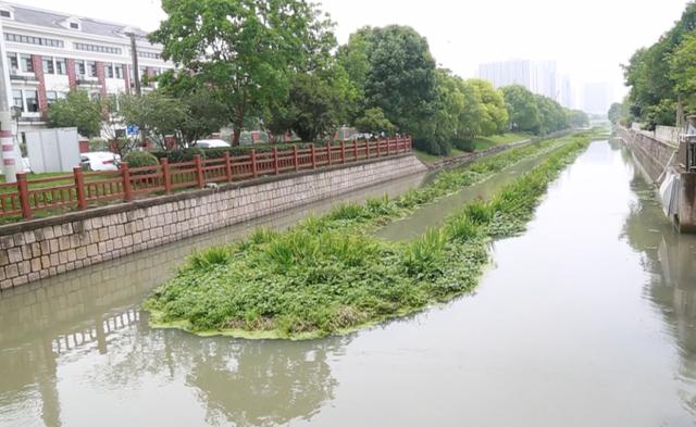 #万丈光芒#新增4条滨河步道、打造四季有景的滨水空间……松江这里的河道变化你期待吗？