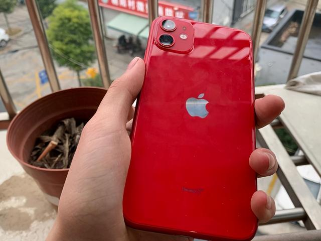 库克亮出王牌！iPhone11降至新低，没有买12的理由了