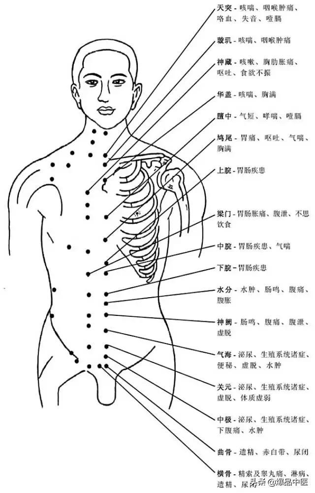 全身穴位治疗口诀大全，配图精华版