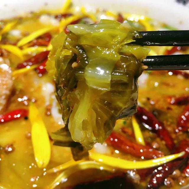 洛神|探店 | 走，一起吃鱼拯救世界