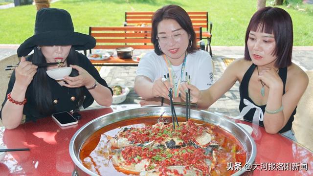 贾未乐|从小在库区长大，15岁开始学厨，洛阳80后小伙做出的全鱼宴令人拍案叫绝