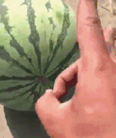 逗比大家庭|夏天带娃大家最关心的4个问题，你要的答案在这里