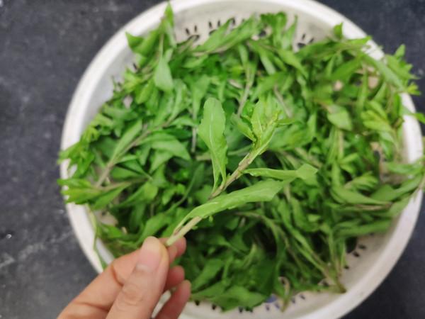 你的育儿经:3月,“天然叶酸”被发现,孕妇每周吃1次,宝宝聪明发育好!