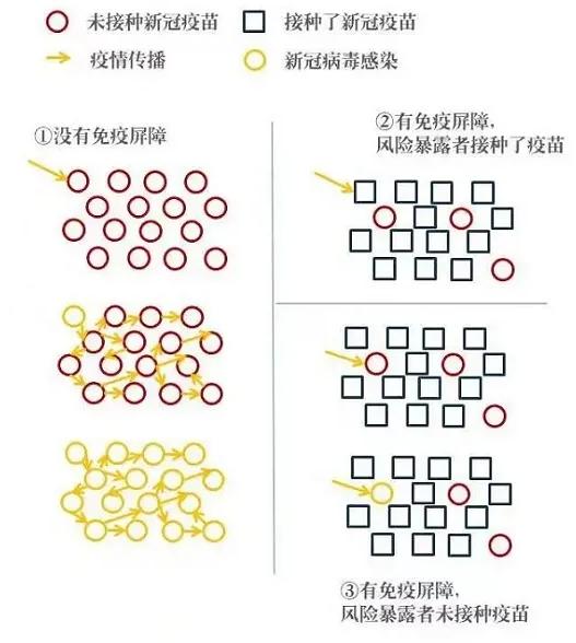 疫苗|打完新冠疫苗就感冒？还有啥误区在胡闹！钟南山张文宏：应当尽快接种