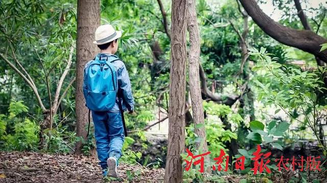 超级宝妈@5月1日，邀你孩子在鸡公山“袋鼠森林奇遇”