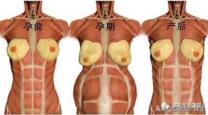 「超级宝妈」生完孩子还有个大肚子,怎么办?
