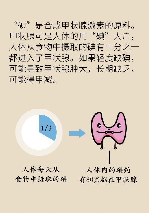 甲状腺疾病是吃出来的？该补碘还是控碘？女性尤其要了解