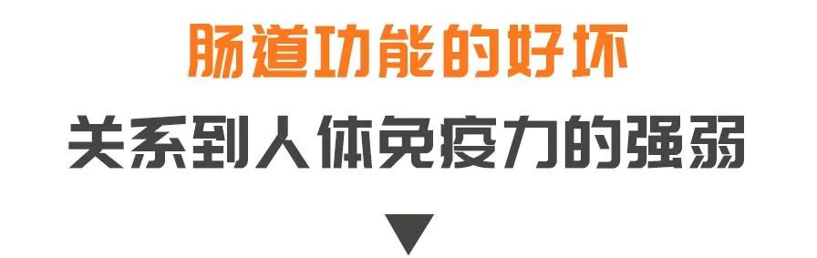 肠道|冬季便秘、腹泻高发，一忍了之可不行！专家教您这样做，肠道健康人轻松