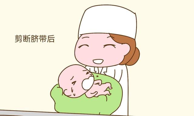 【你的育儿经】宝宝脐带怎么护理，新手宝妈要知晓