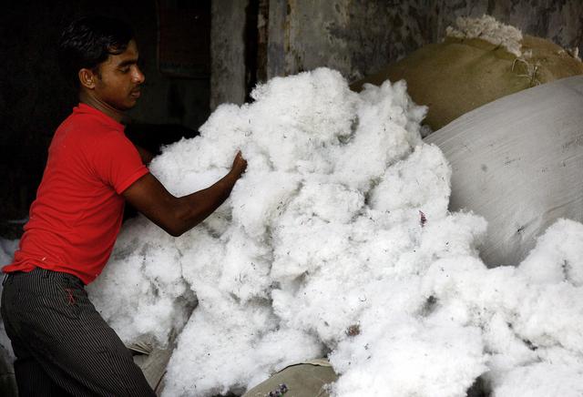 新华财经｜2月份印度国内棉花价格上涨4.5%