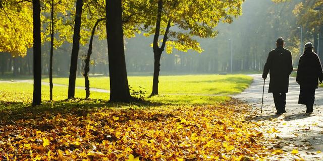 保险|保险学者王和：“横竖”都是为了更好地养老