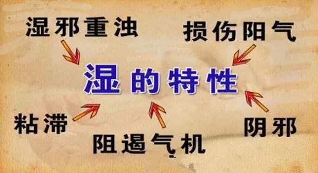 【辟谣】薏仁绿豆粥，真的能祛湿吗？