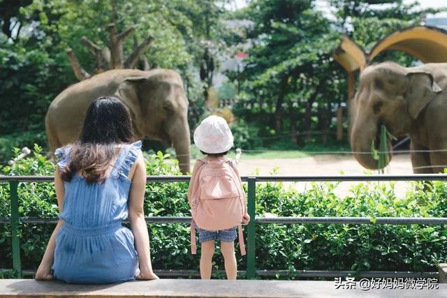 【你的育儿经】想让孩子成才，又不想剥夺他的童年，我该怎么办？