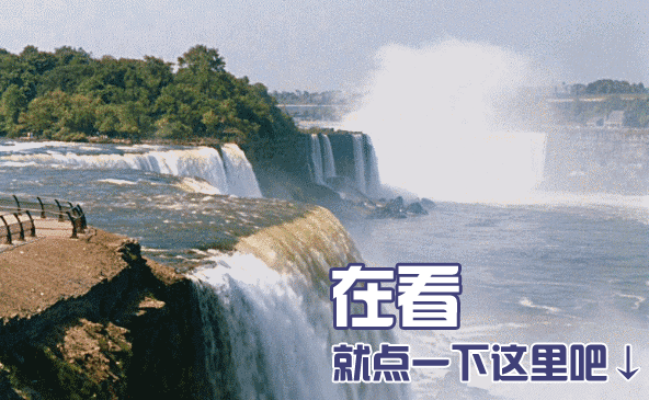上观新闻|儿童肥胖影响成长怎么办？普陀专家帮你来“卸货”