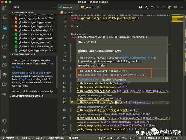 Go Module有漏洞？免费的Go漏洞扫描VSCode插件