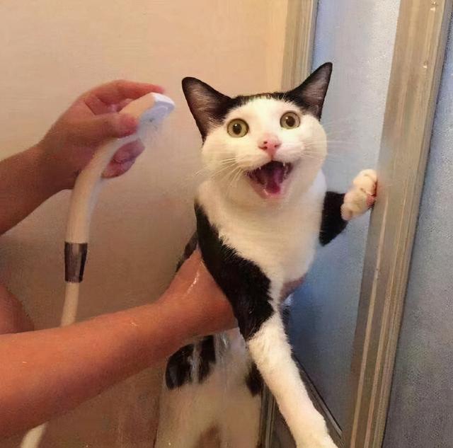 不再属于直男的华为智能产品~这是属于小仙女的足浴仙器