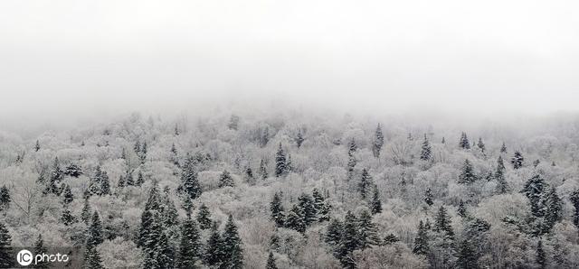 立夏秒变"立冬!吉林松岭雪村降鹅毛大雪