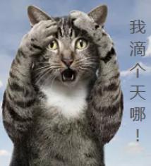 光明网|8岁男孩喝了一碗面条汤后过敏休克！原因让人吃惊