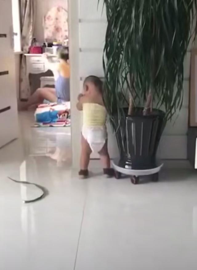 你的育儿经■“你妈是老大，我不敢惹”幸福的家庭，都有一个当老大的妈妈