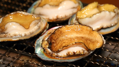 茂名|快来茂名，吃吃吃吃吃吃吃吃